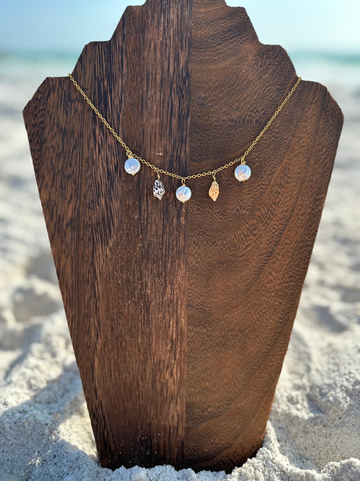 Coin Pearl and Conch Shell Multi Necklace