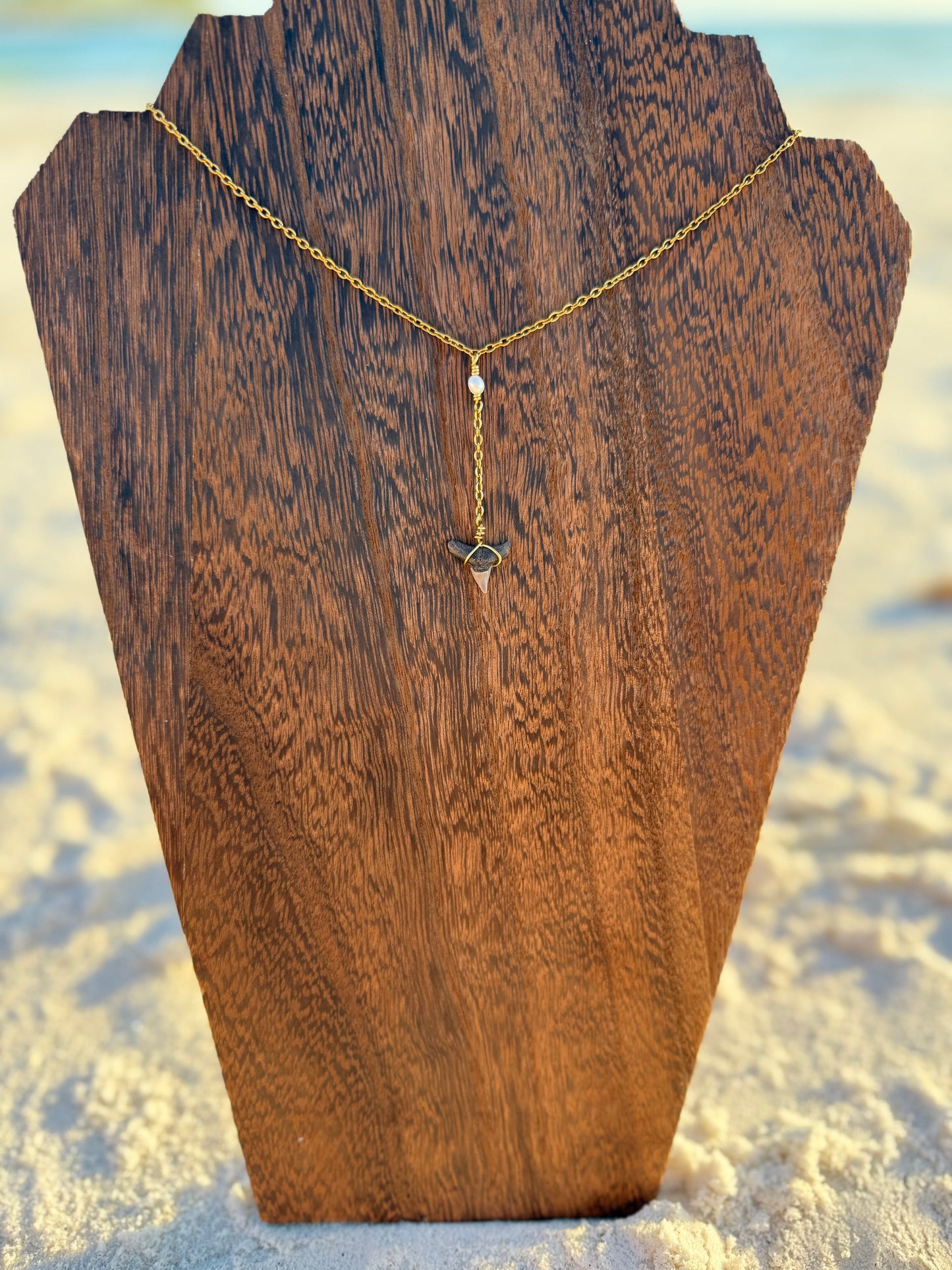 Dainty Freshwater Pearl and Shark Tooth Drop Necklace