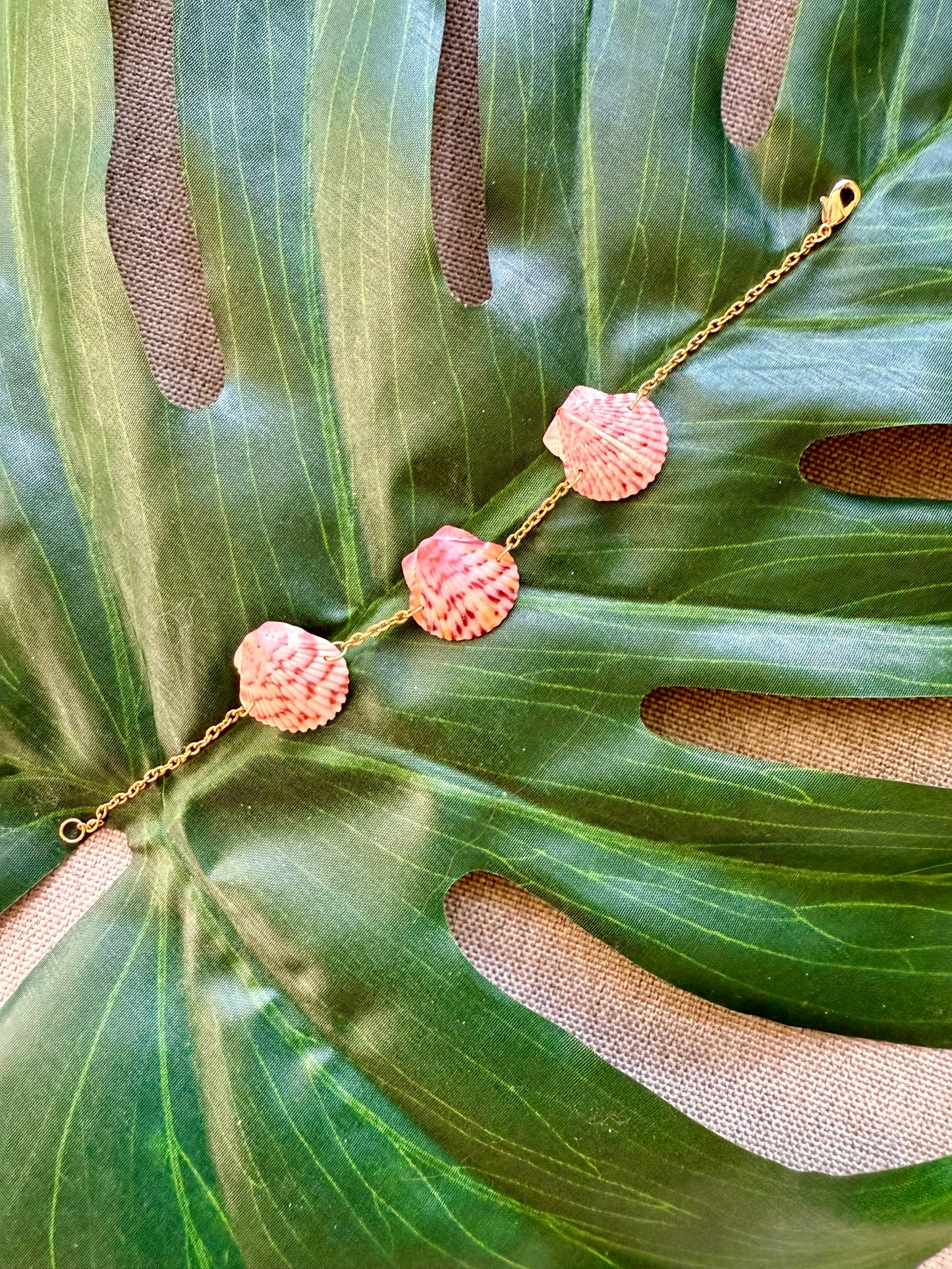 Triple Scallop Shell Bracelet