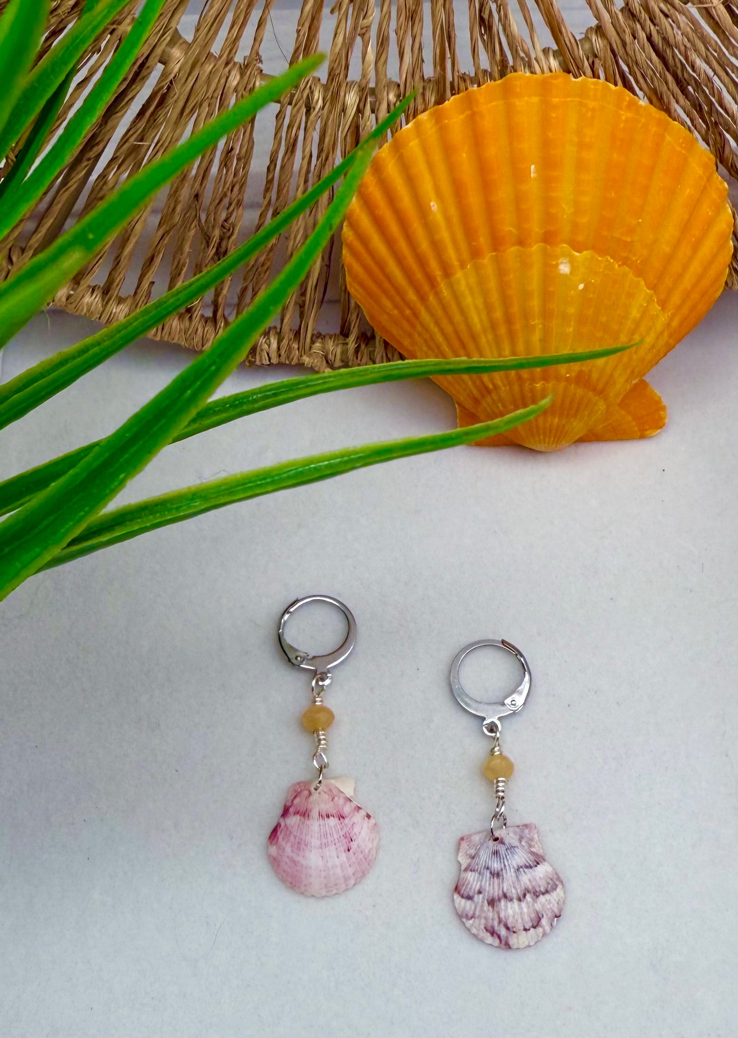 Scallop Shell Earrings