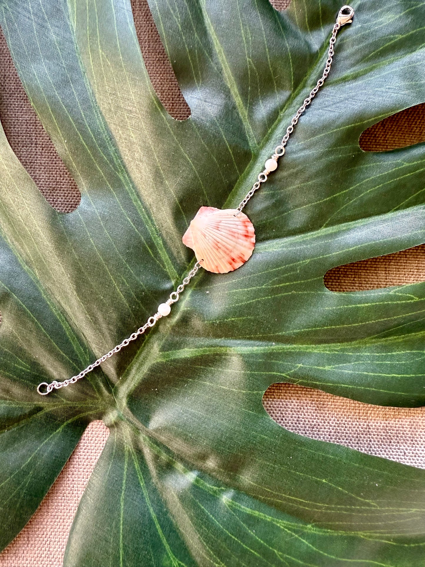 Dainty Scallop Shell with Mother of Pearl Bracelet