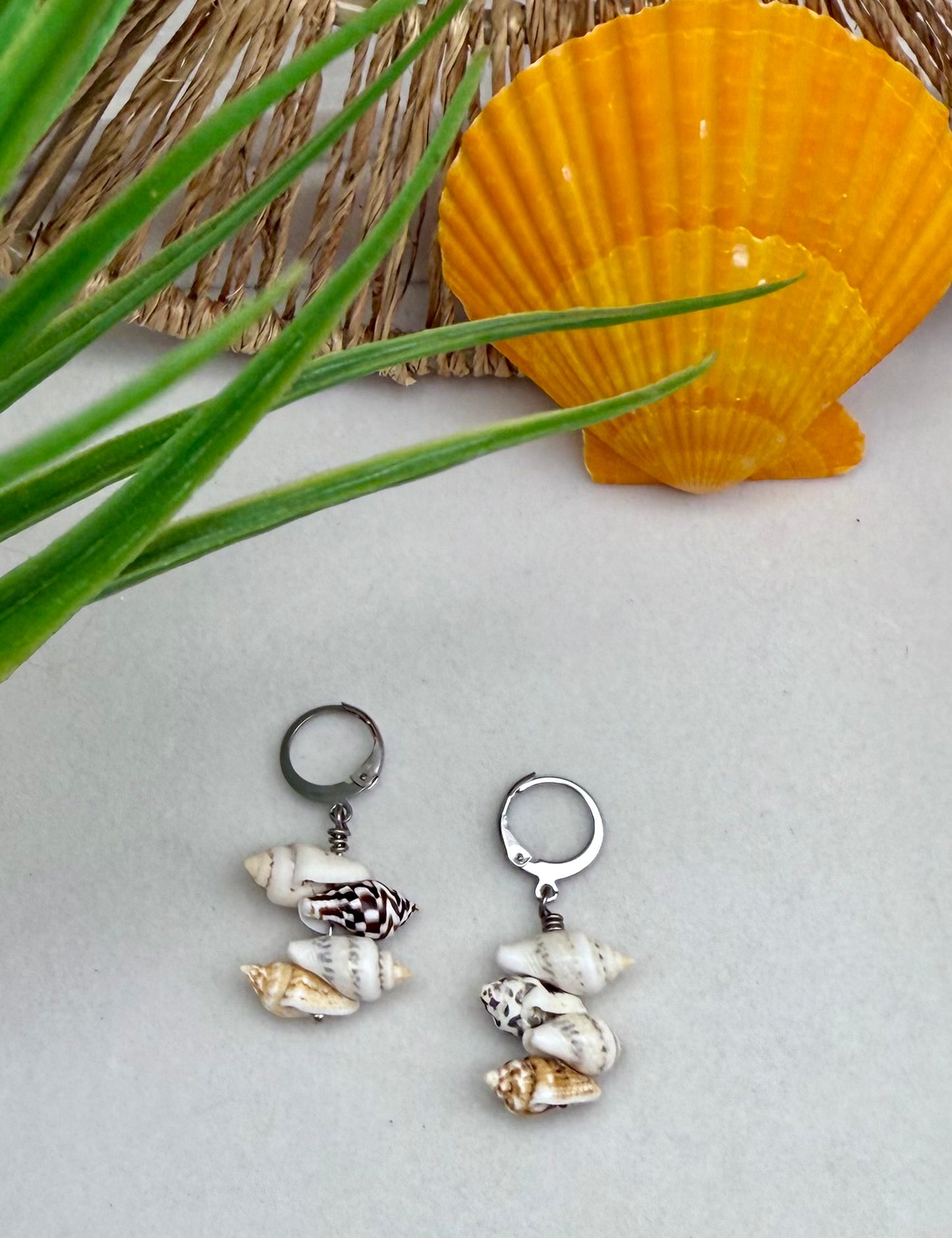 Multi Conch Shell Dangle Earrings