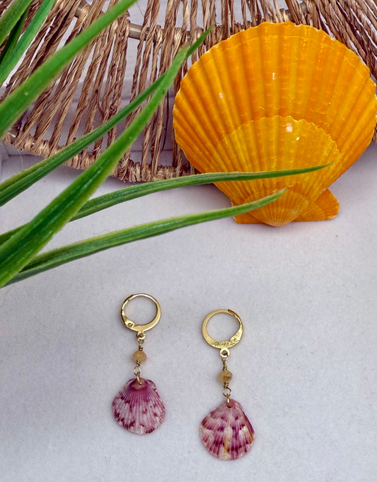 Scallop Shell Earrings