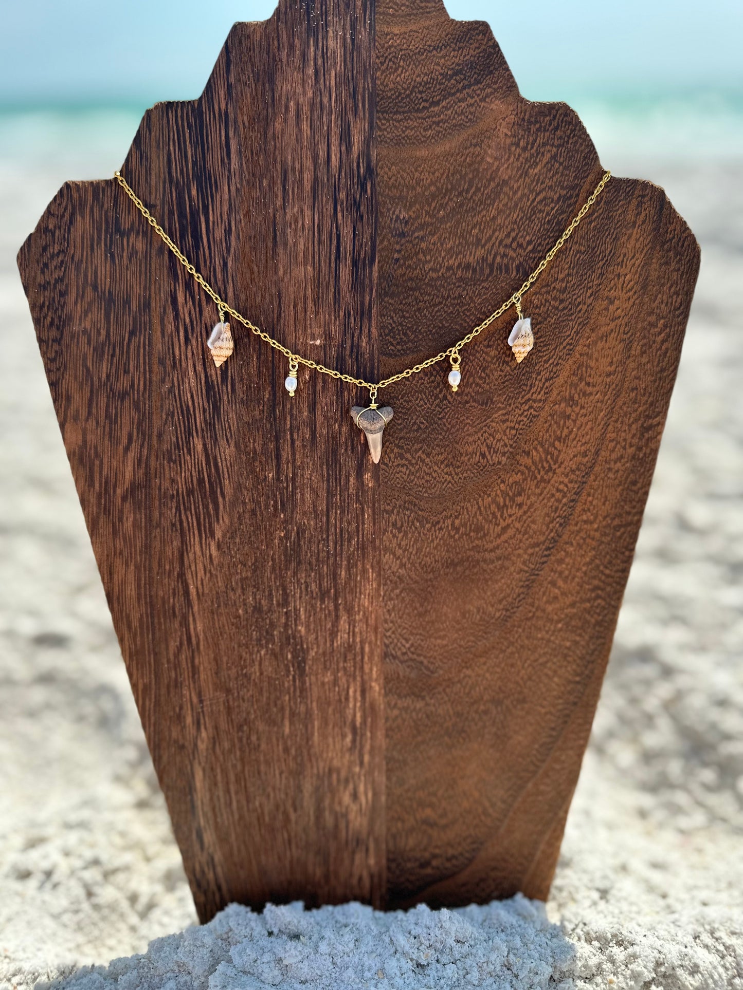 Shark Shell Necklace