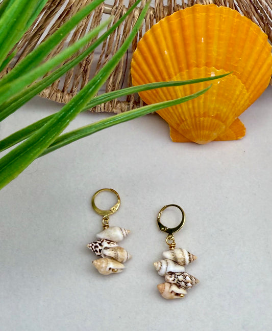 Multi Conch Shell Dangle Earrings