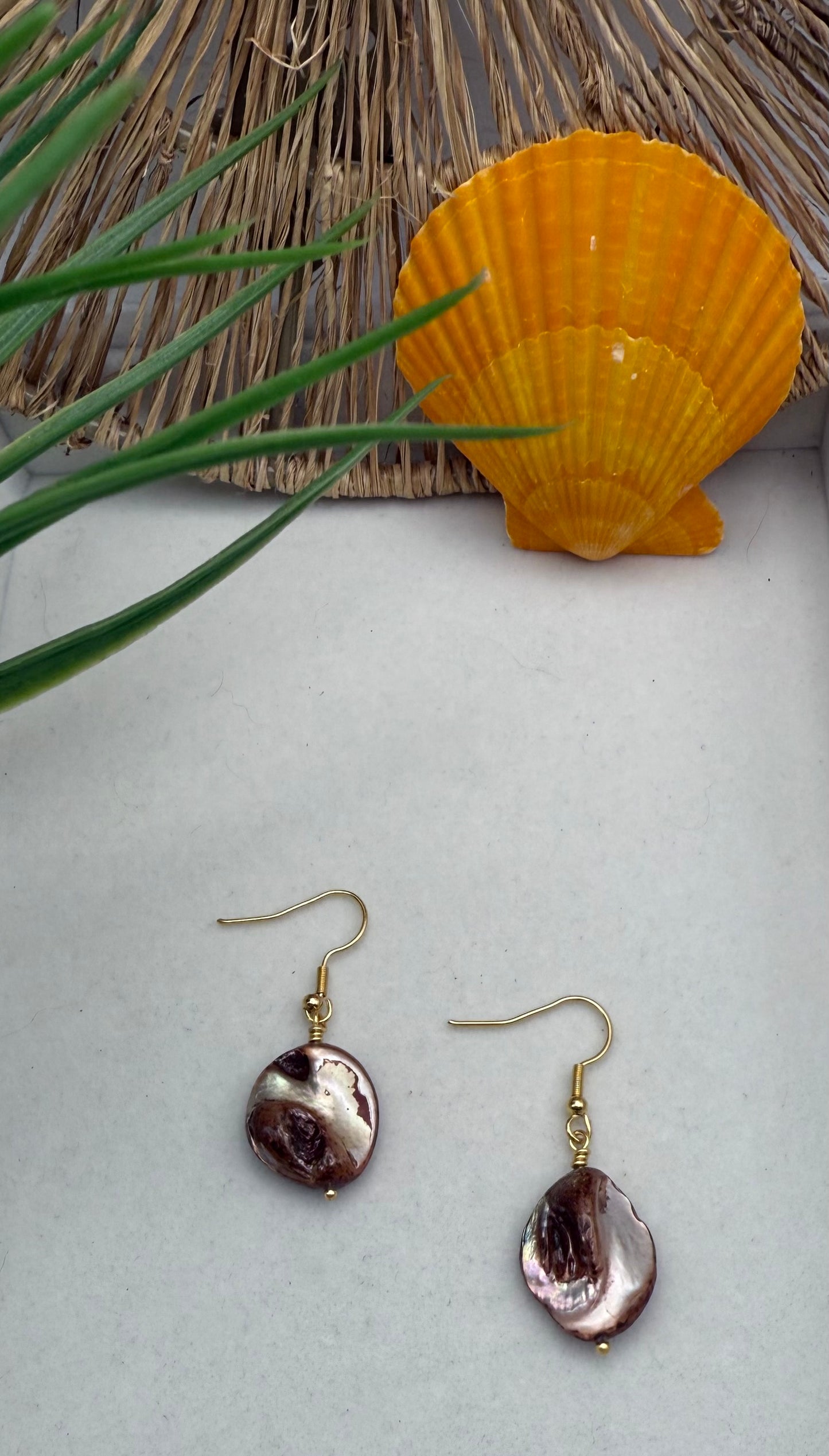 Brown Shell Hook Earrings